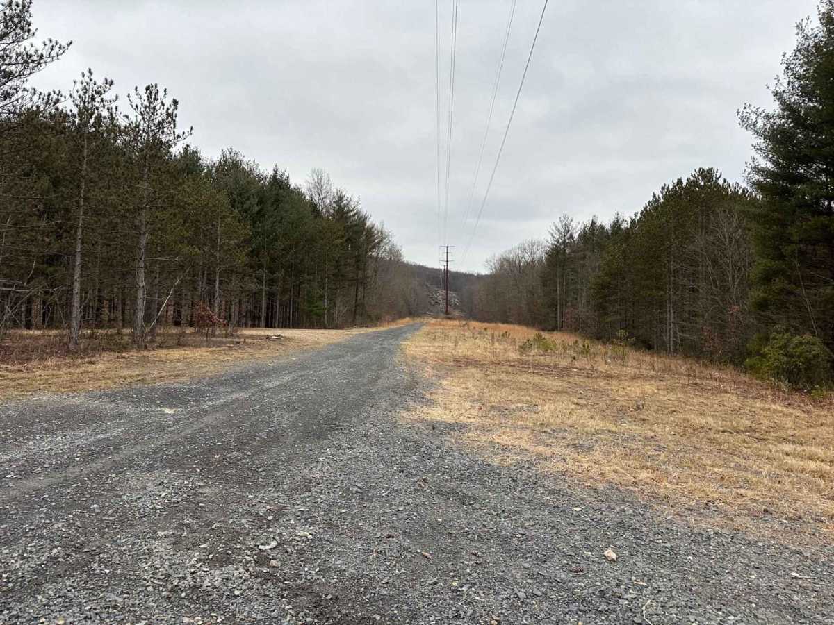 Locust Gap 27 trail photo