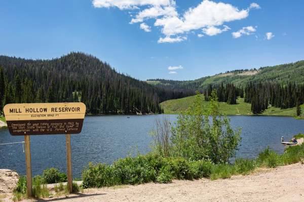 Mill Hollow - Duchesne Ridge (FR 70054)