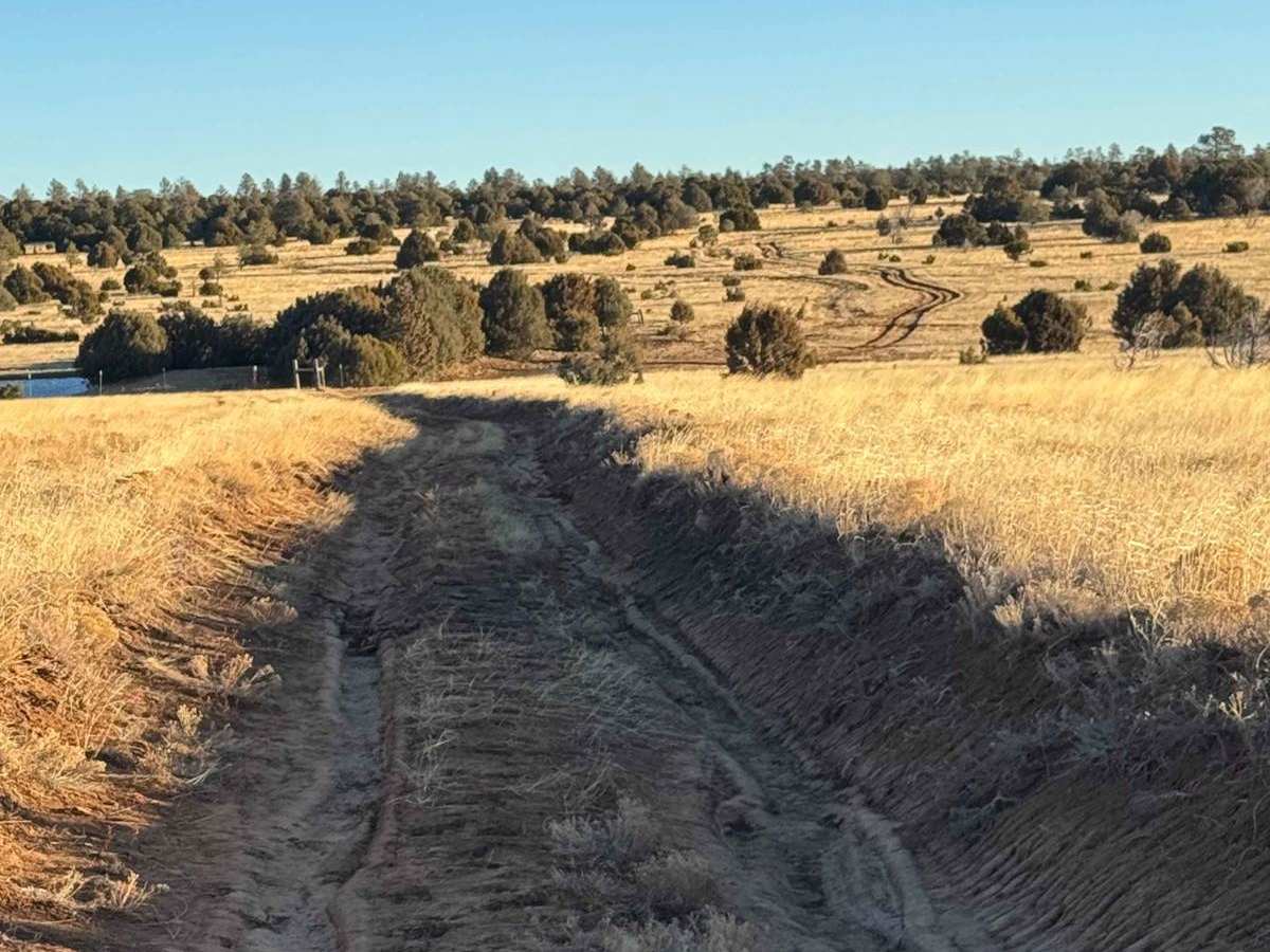 Cattle Run Pass trail photo