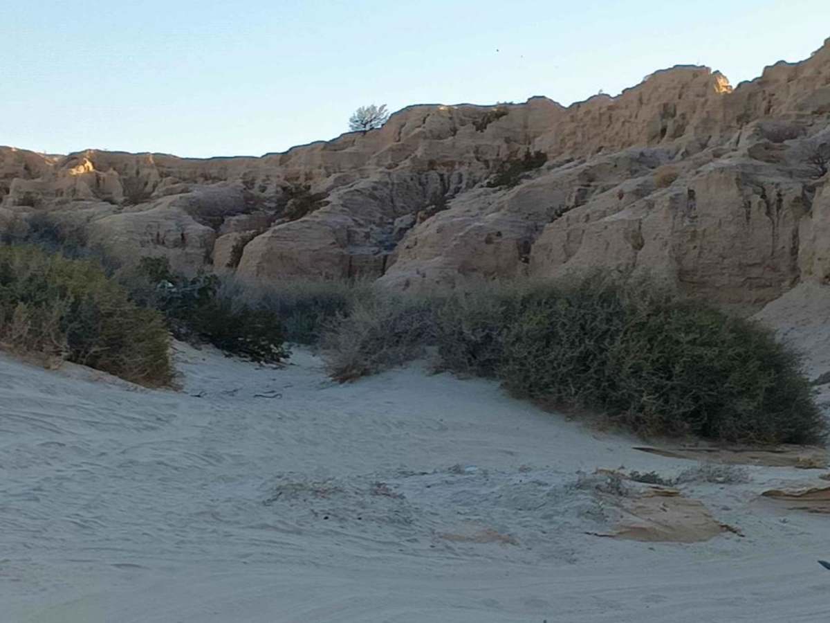 El Canon photo 2