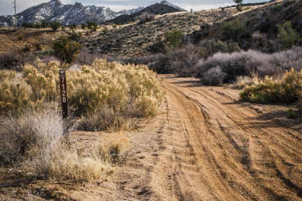 I-40 Parallel ATV Trail