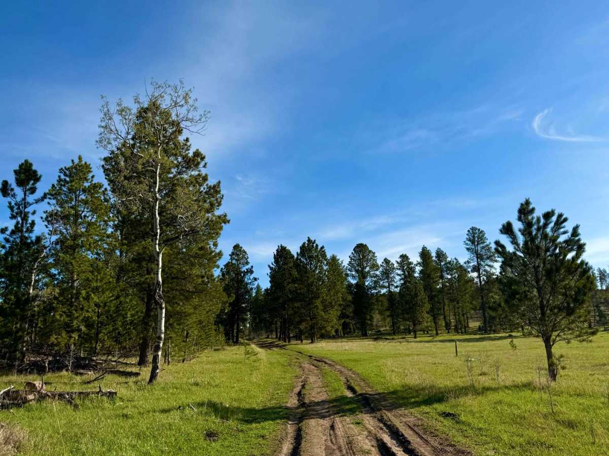 Slate Creek Rim Trail photo 4