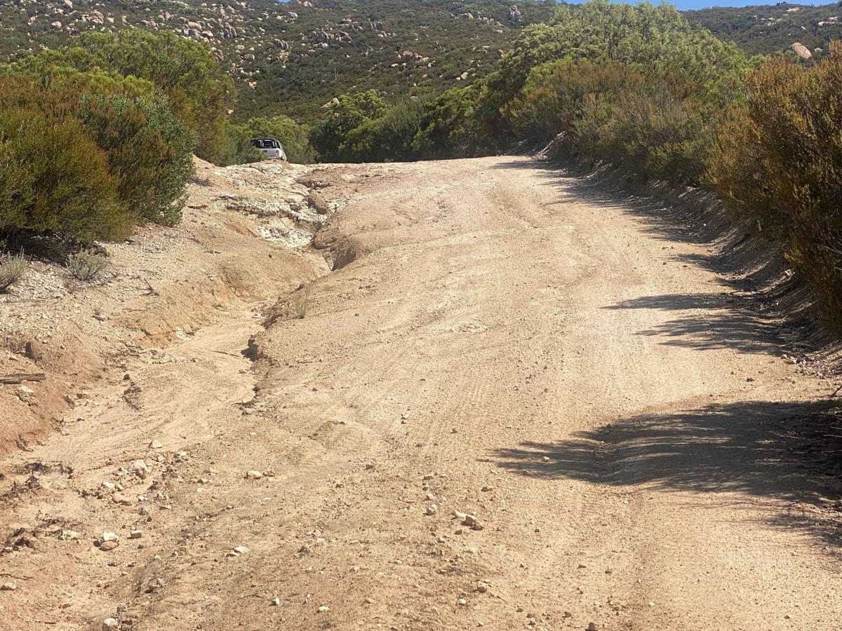 Pine Forest Trail to Laguna Hanson Cerro San Pedro photo 4