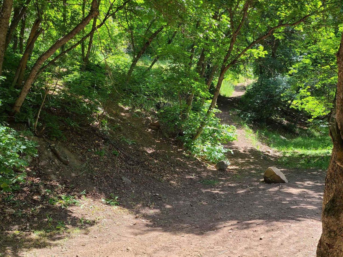 Maple to Sugar Creek photo 4