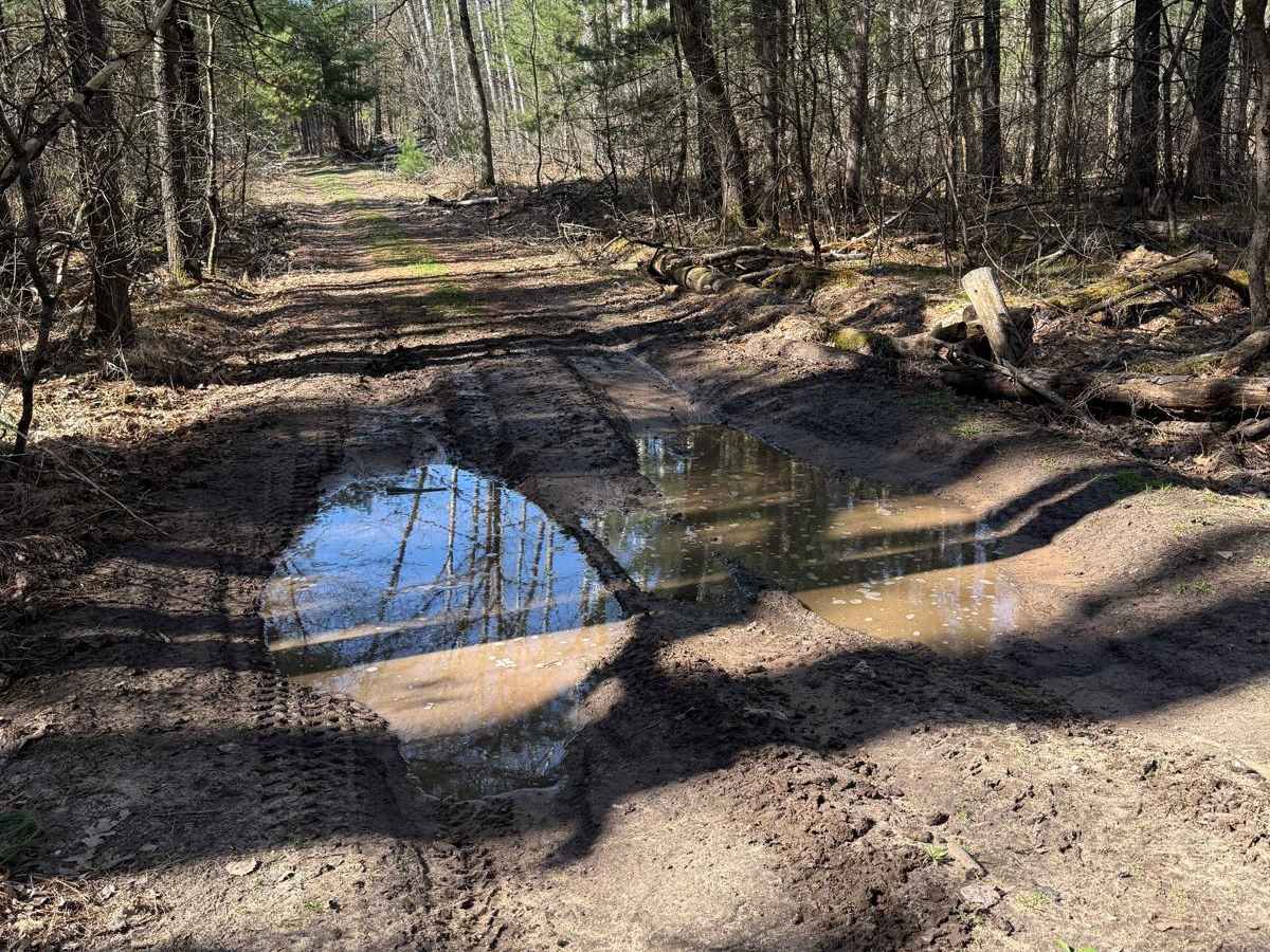 NFS 6458 trail photo