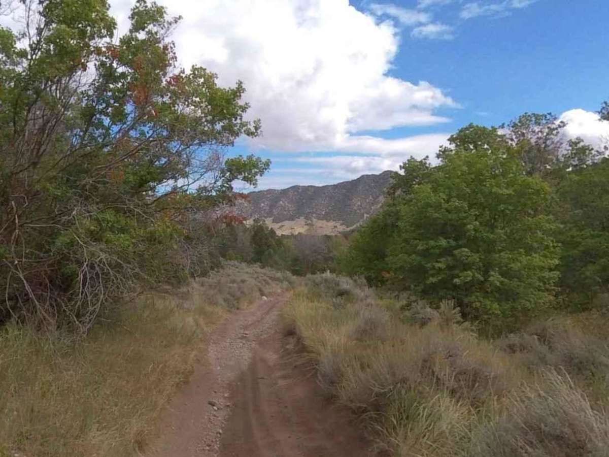 Broad Canyon Road - UCB823 photo 5
