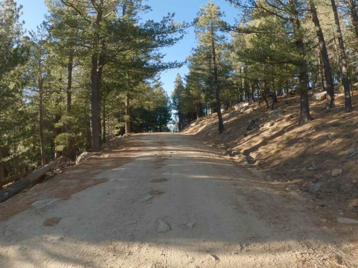 West Swift Trail 366 photo 4