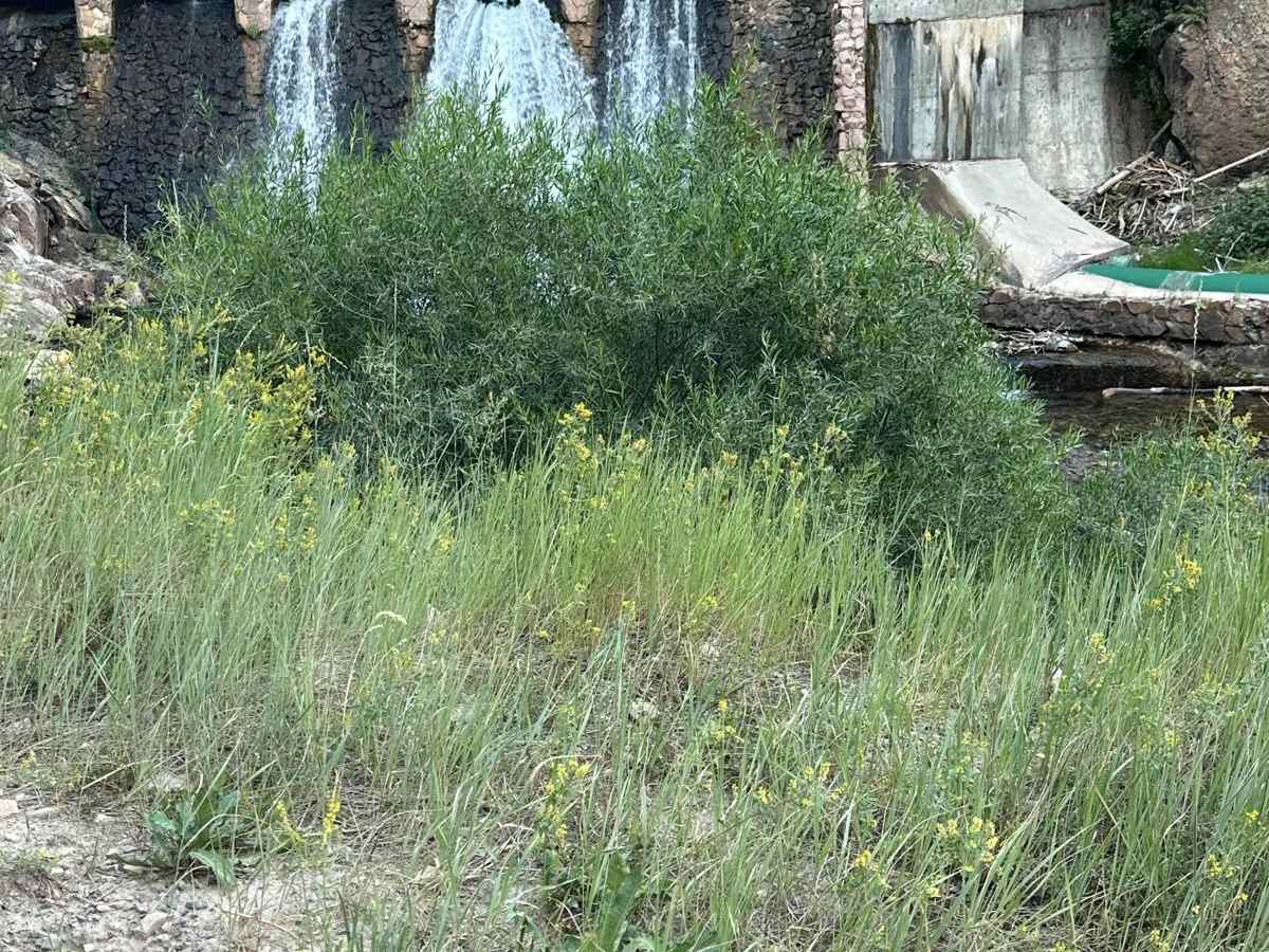 Swift Creek photo 2