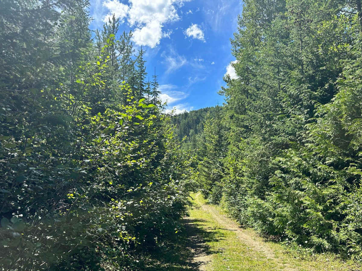 Bonneau Spur Route photo 6