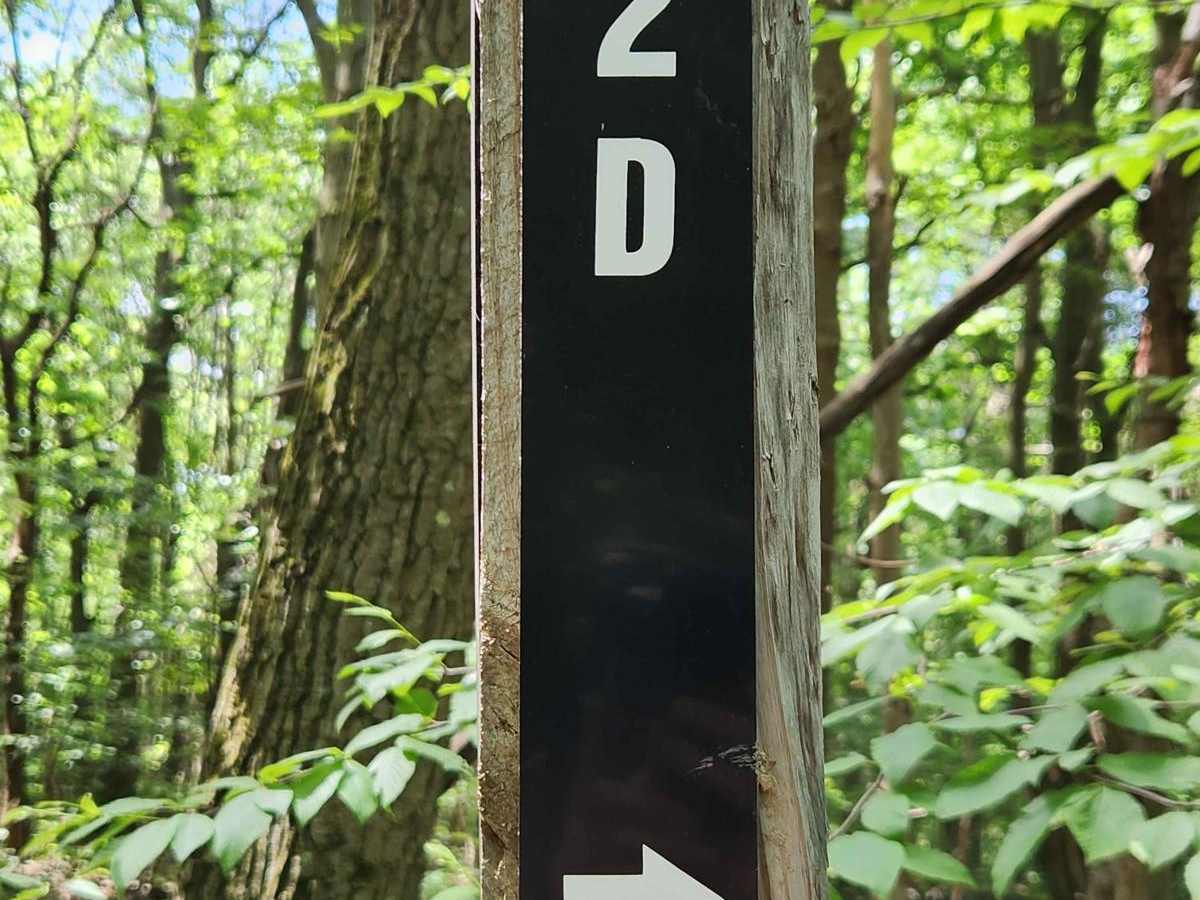 Trail 2D - Rock Run Recreation Area trail photo