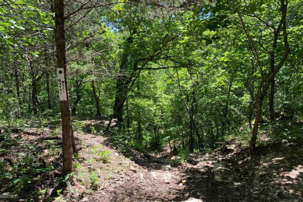 Havoc Hill