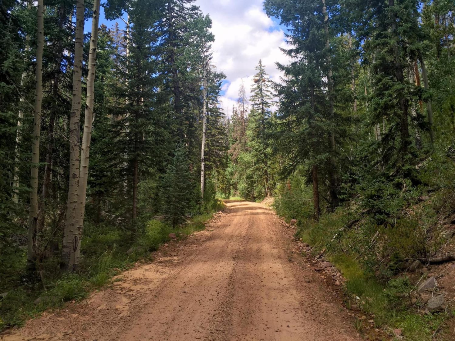 Yellowstone ATV Trail