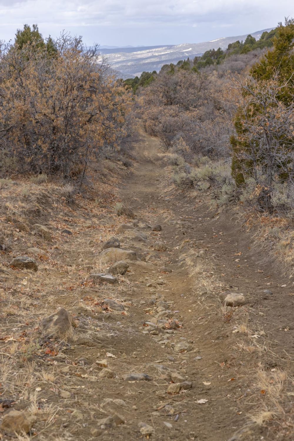 Catamount Trail