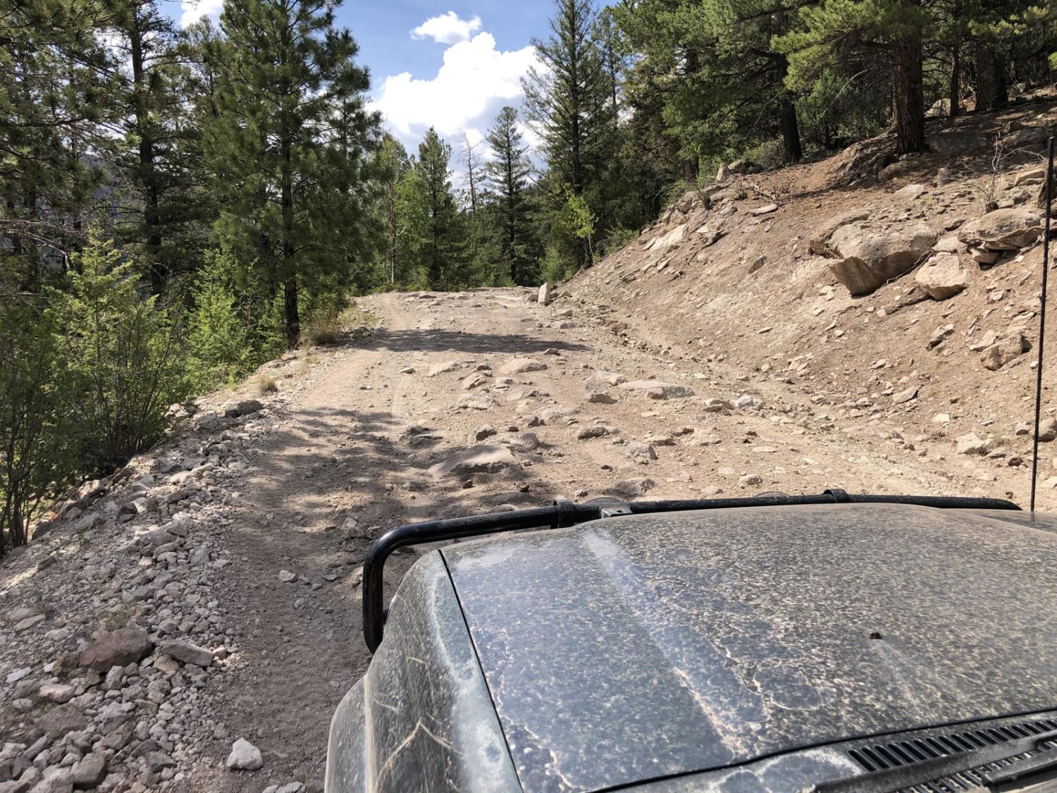 Wheeler Geologic - via Alder Creek (FS610)