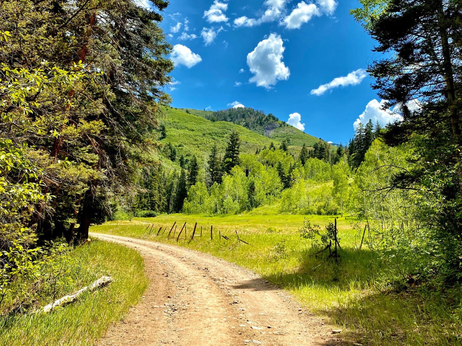 Culver Creek - Cty Rd 14A