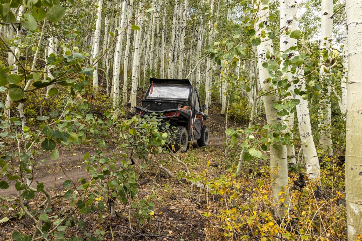 Water Hollow Trail