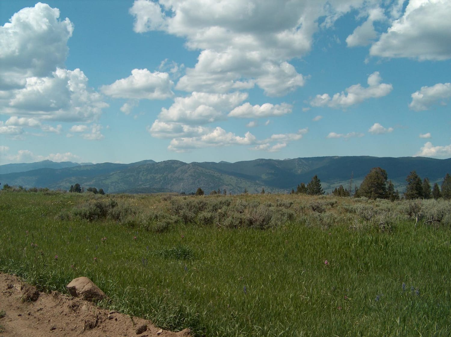 Blacktail Plateau