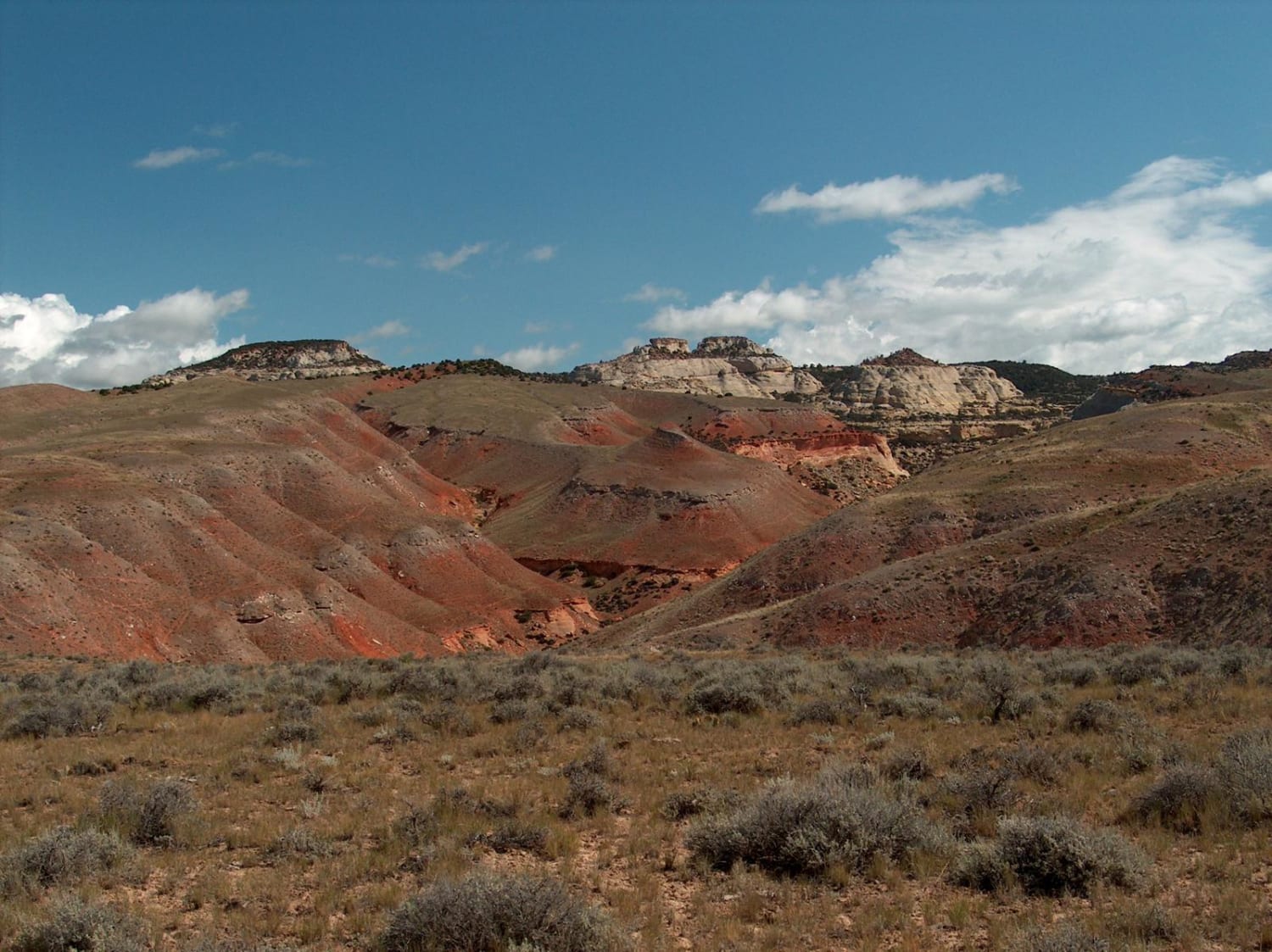Red Gulch / Alkali National Backcountry Byway