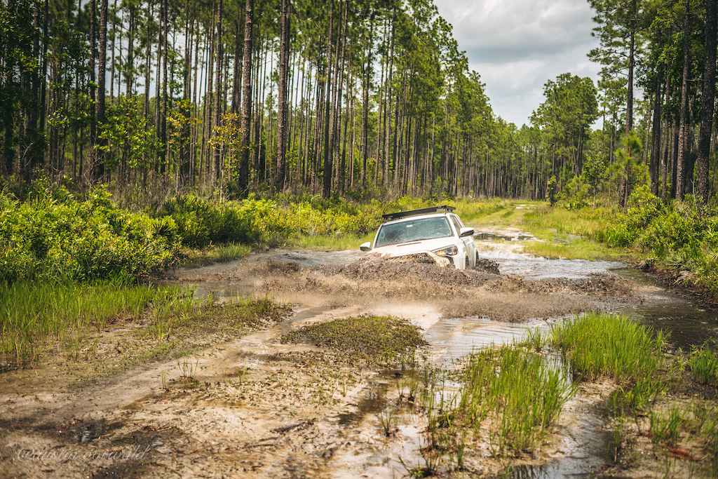 Osceola National Forest FR 212 