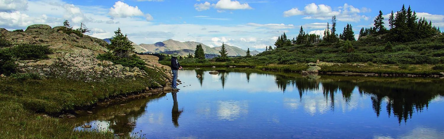 Taylor Pass