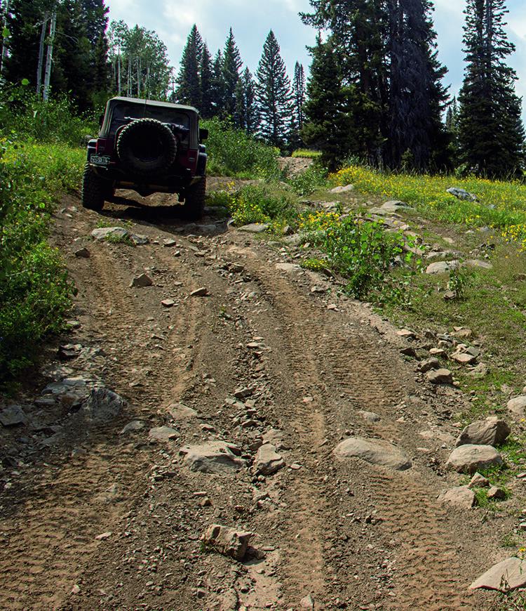 Elkhorn Mountain