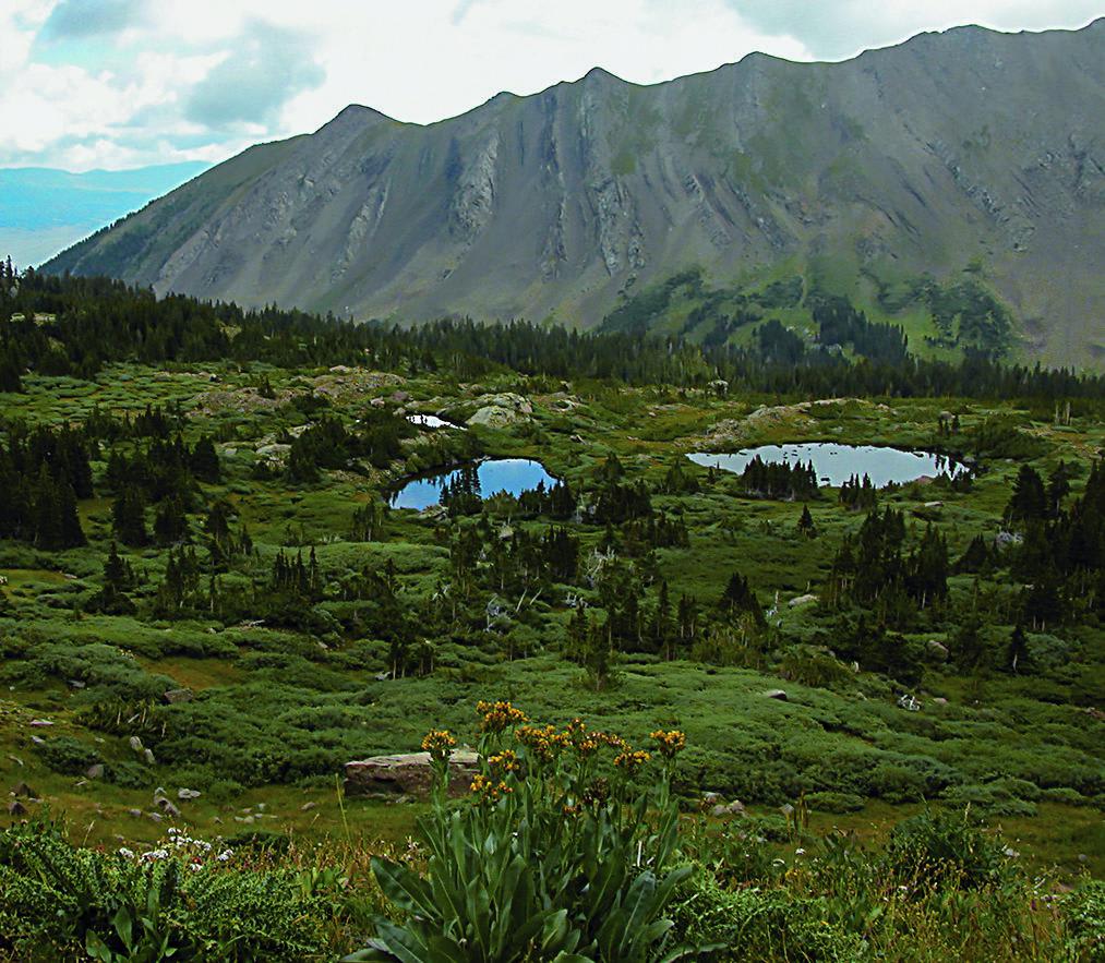 Hermit Pass