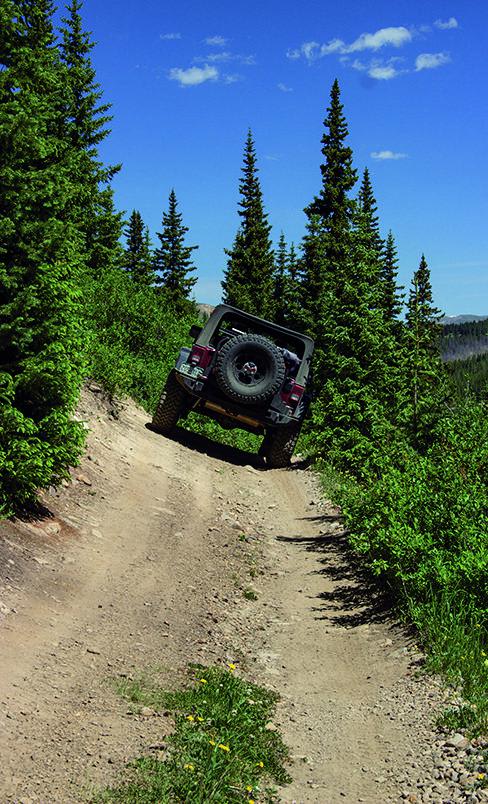 Birdseye Gulch