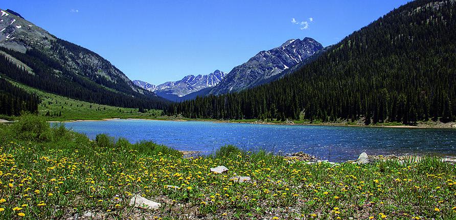 Lincoln Creek Road