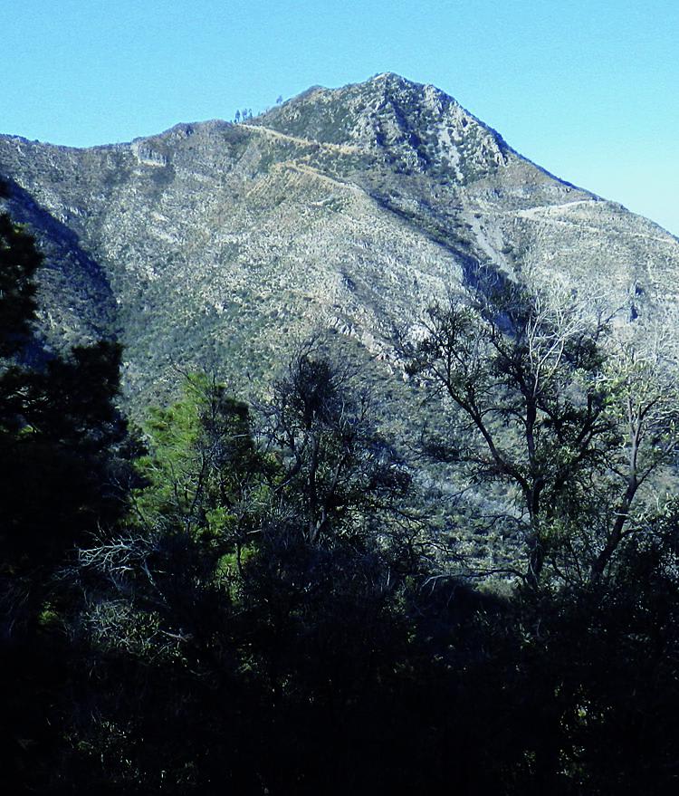 Backway to Mount Lemmon