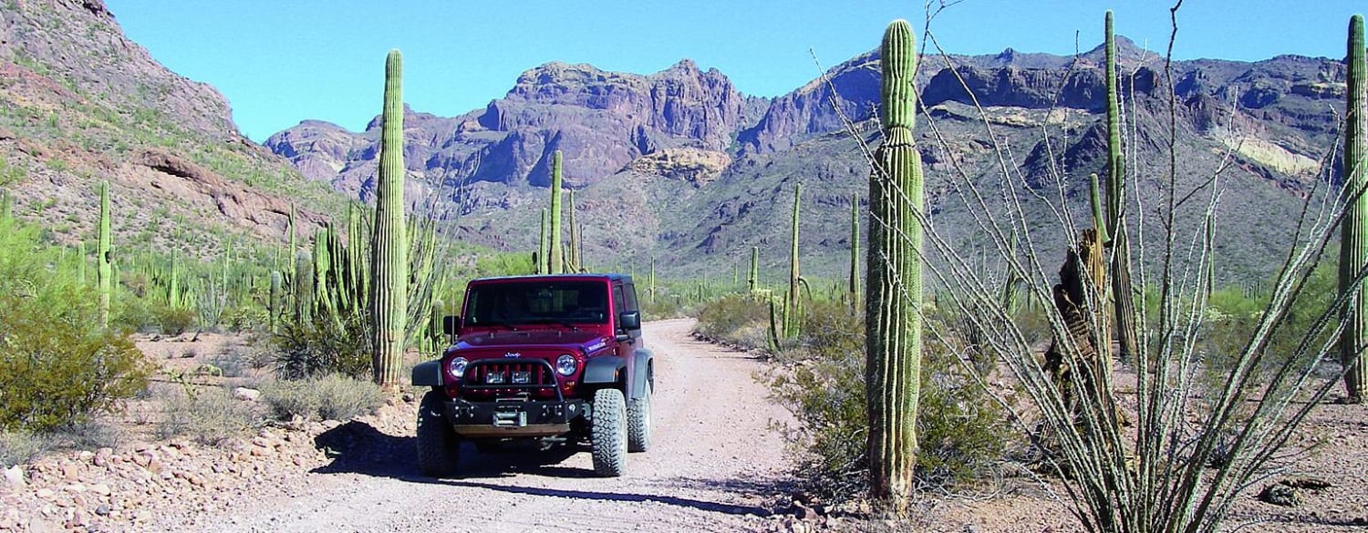 Organ Pipe Cactus Nat. Monument