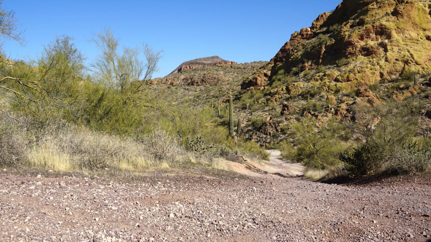 Willow Springs OHV trail