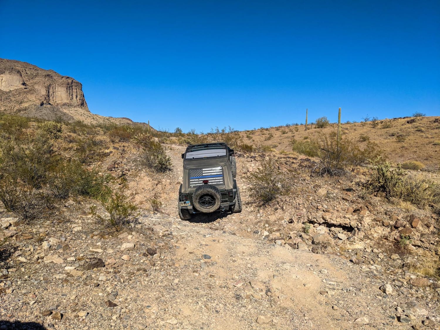 Saddle Mountain Loop