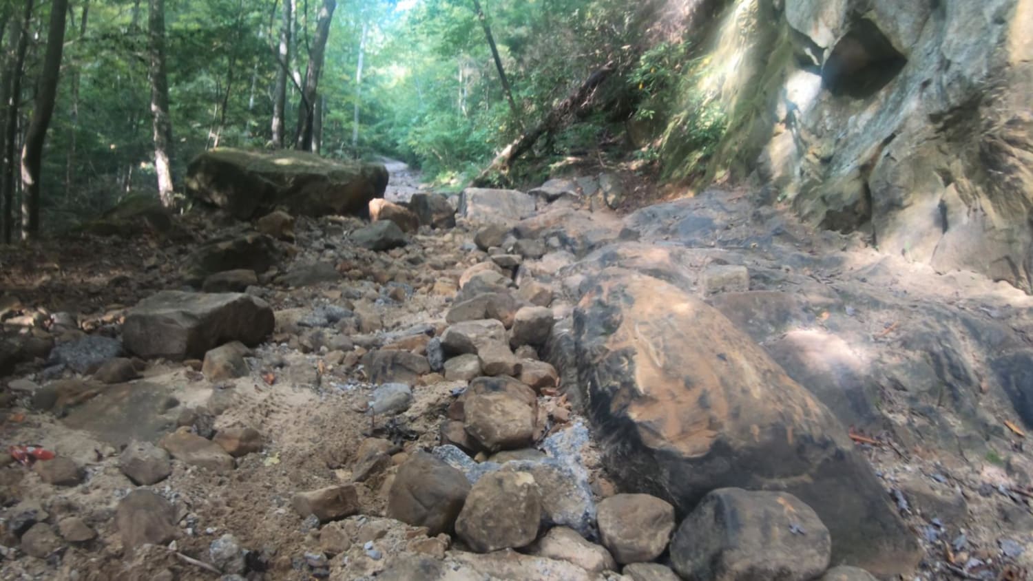 Old Fincastle/Big Andy Ridge