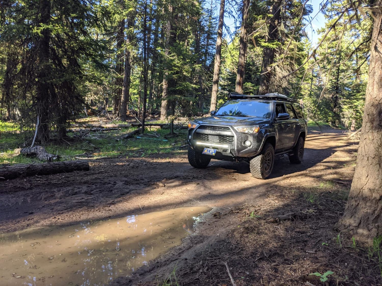 RD 2630 / Summit Trail, Oregon - GPS Trail Map, Conditions