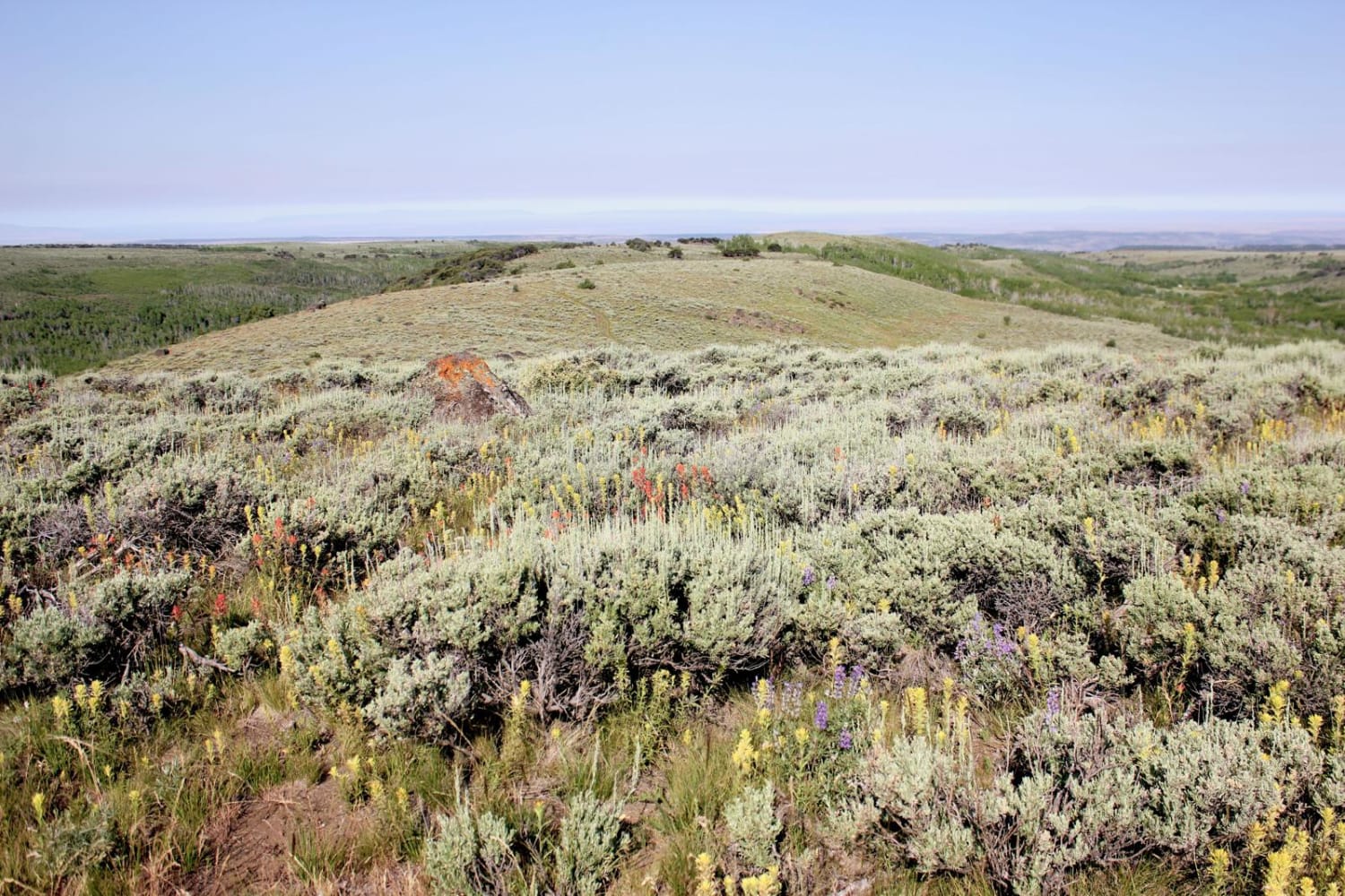 Fish Creek Gorge Overlook