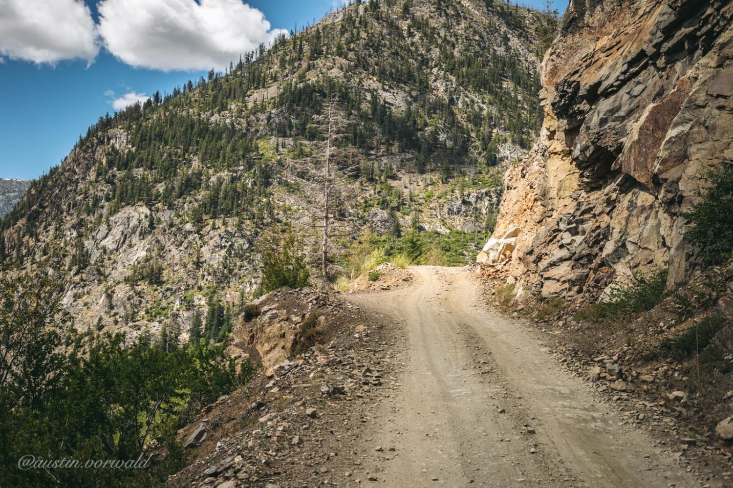 Hart's Pass Road 54