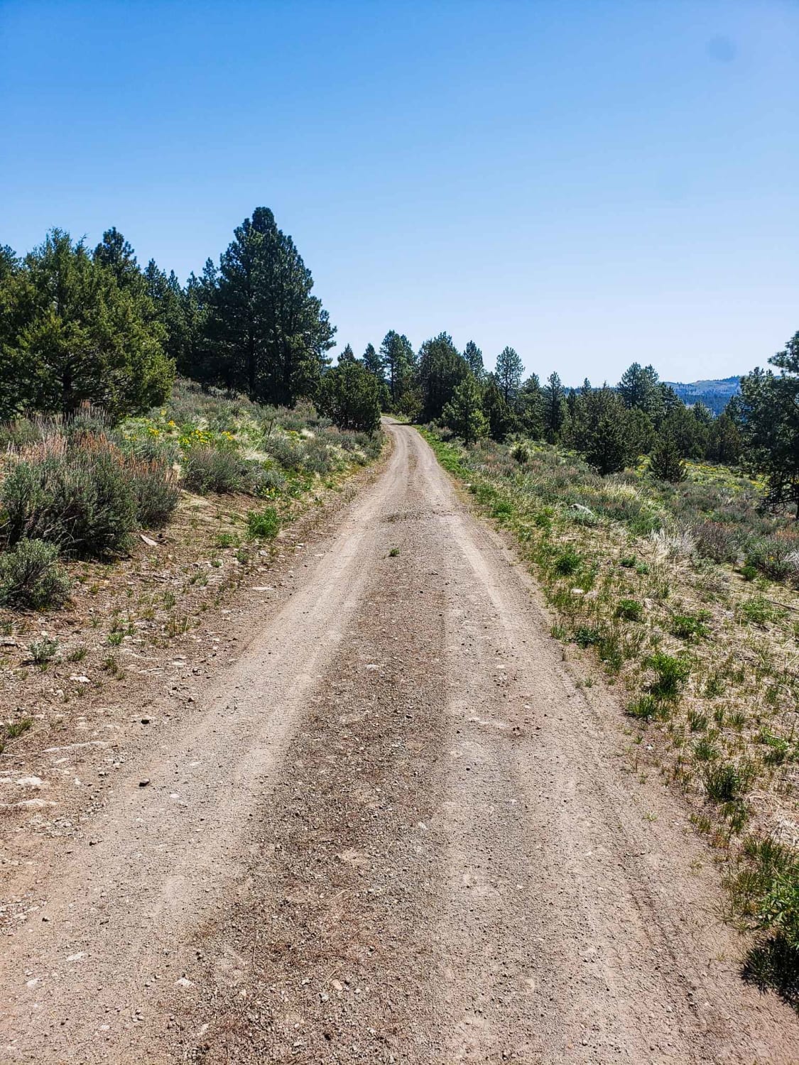 Shadow Of Calamity Oregon Off Road Map Guide And Tips OnX Offroad