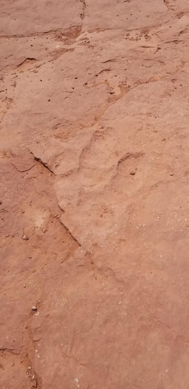 Warner Valley Dinosaur Tracks