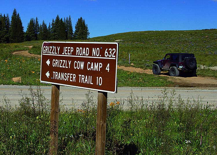 Grizzly Jeep Trail