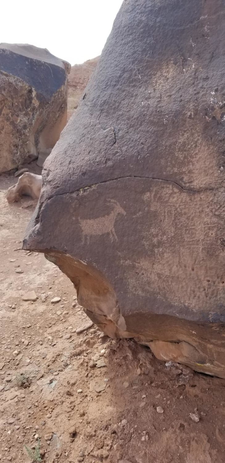 Black Mountain Petroglyph Site