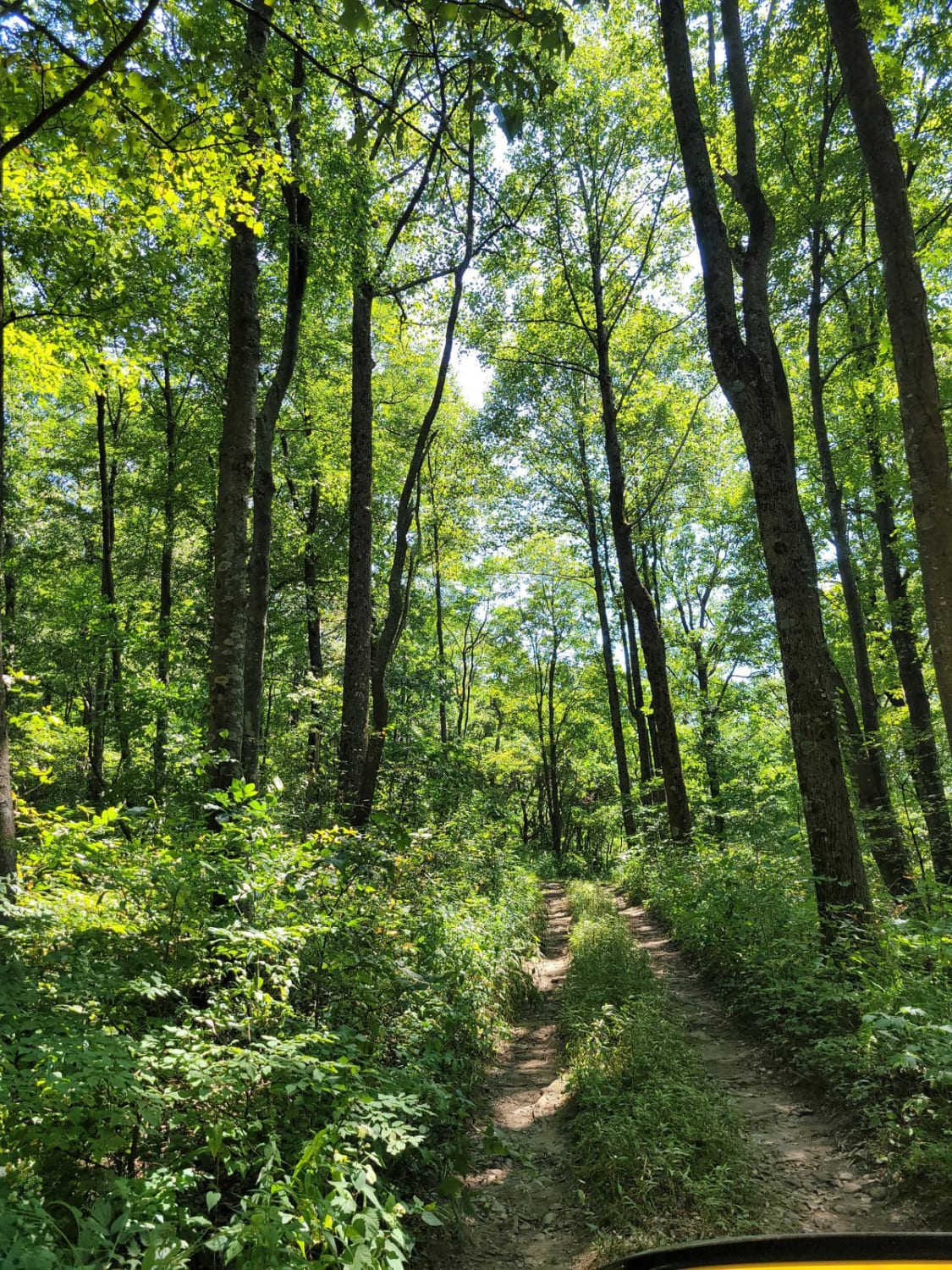 Cohutta Wilderness Georgia Off Road Trail Map Photos onX Offroad