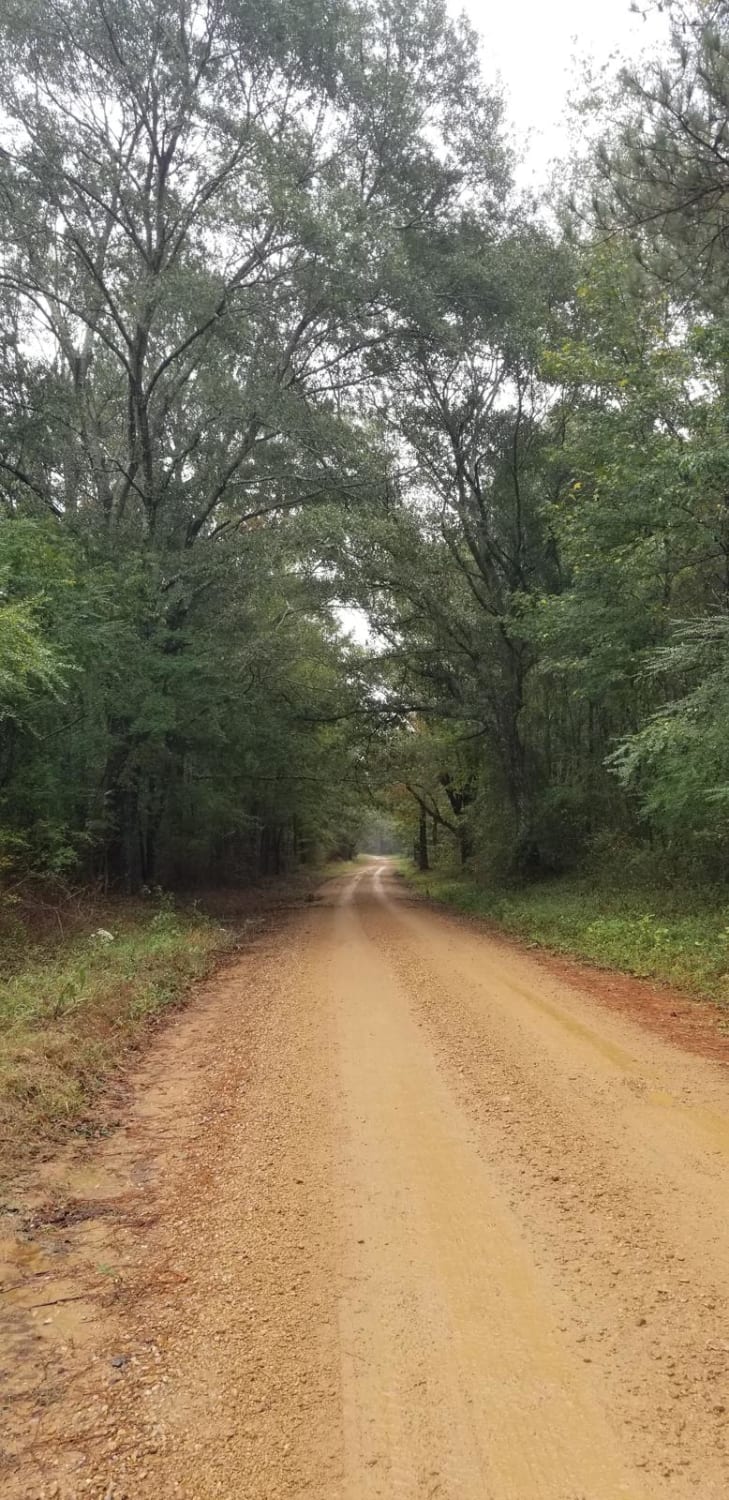 Bienville Scenic Trail