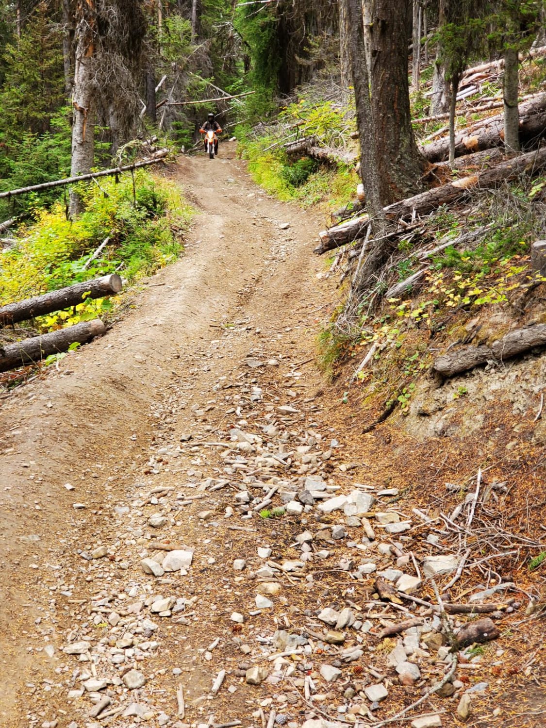 Blue Mountain Lookout Spur (6.07)