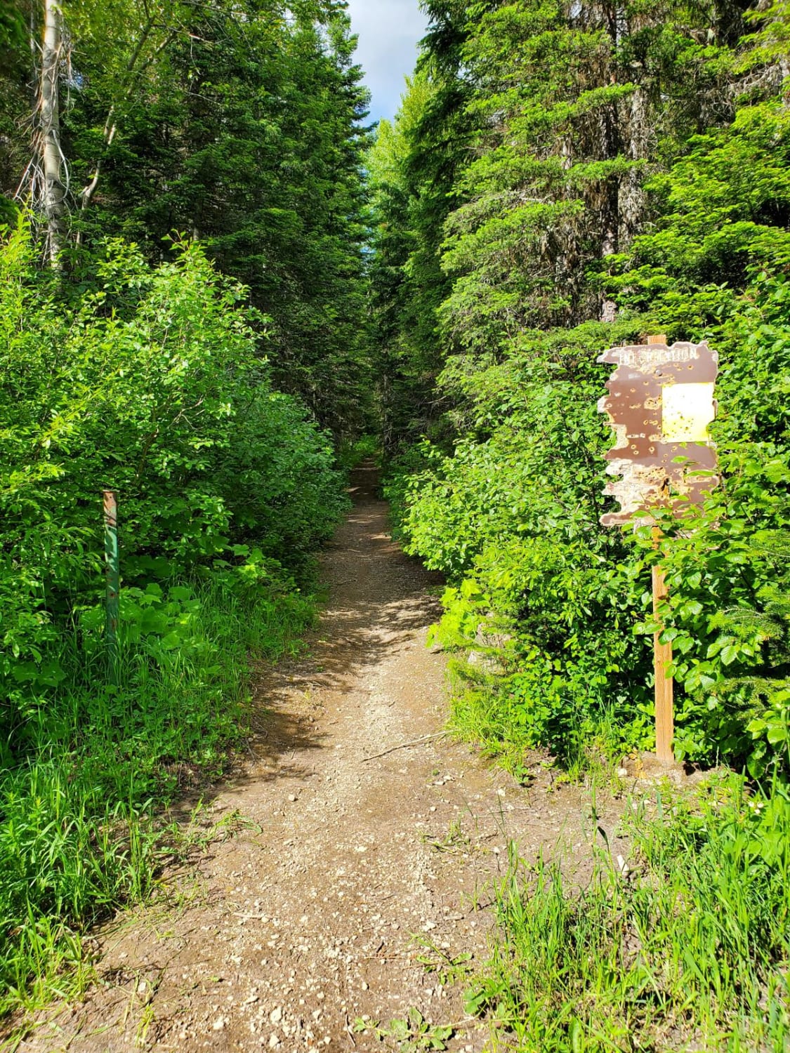 Peter's Ridge Road