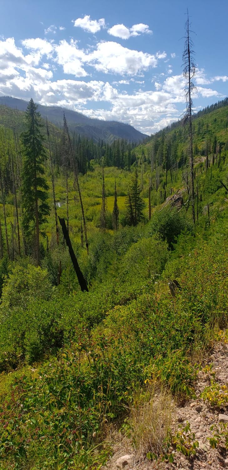 Jocko Canyon