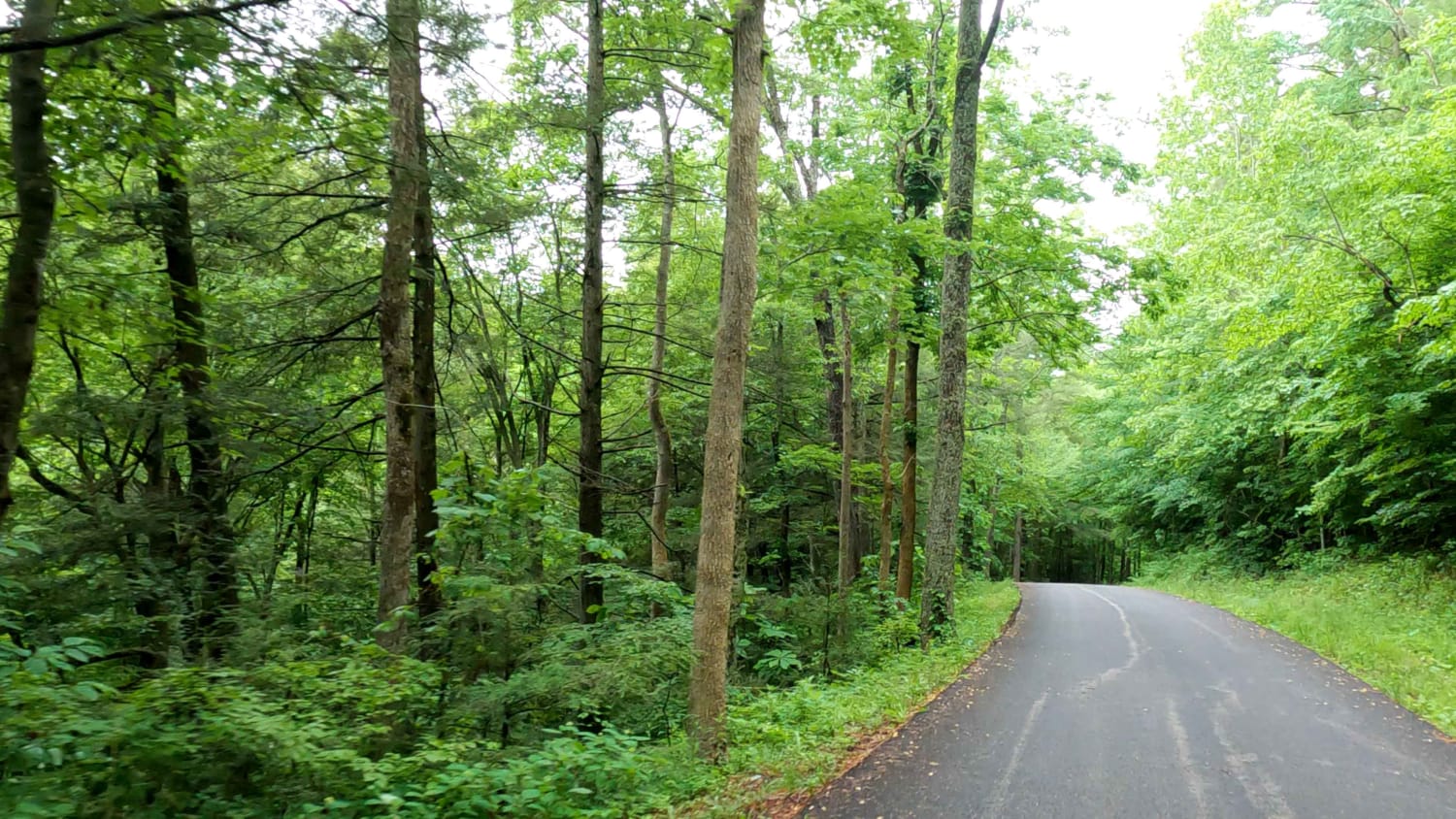 Myers Fork Road