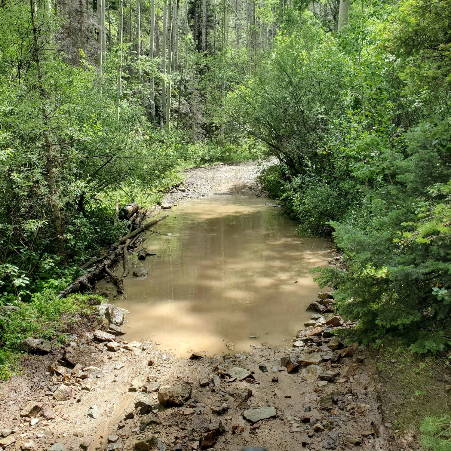 Pioneer Creek