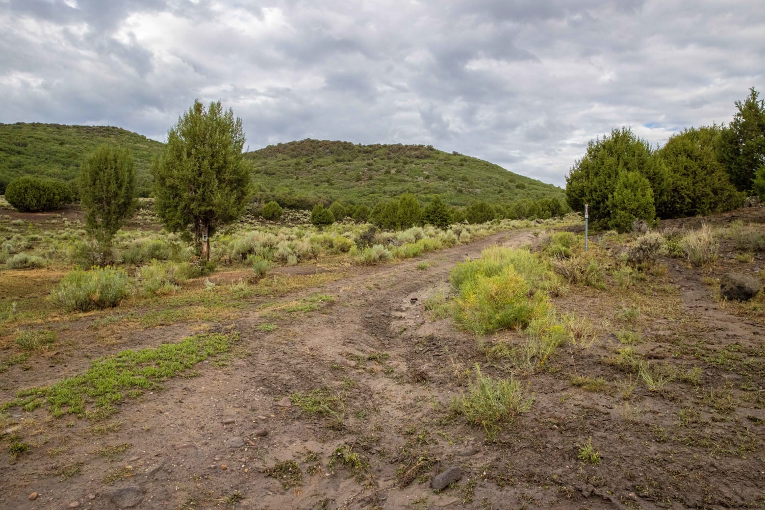 Lower Rocks Road Trail