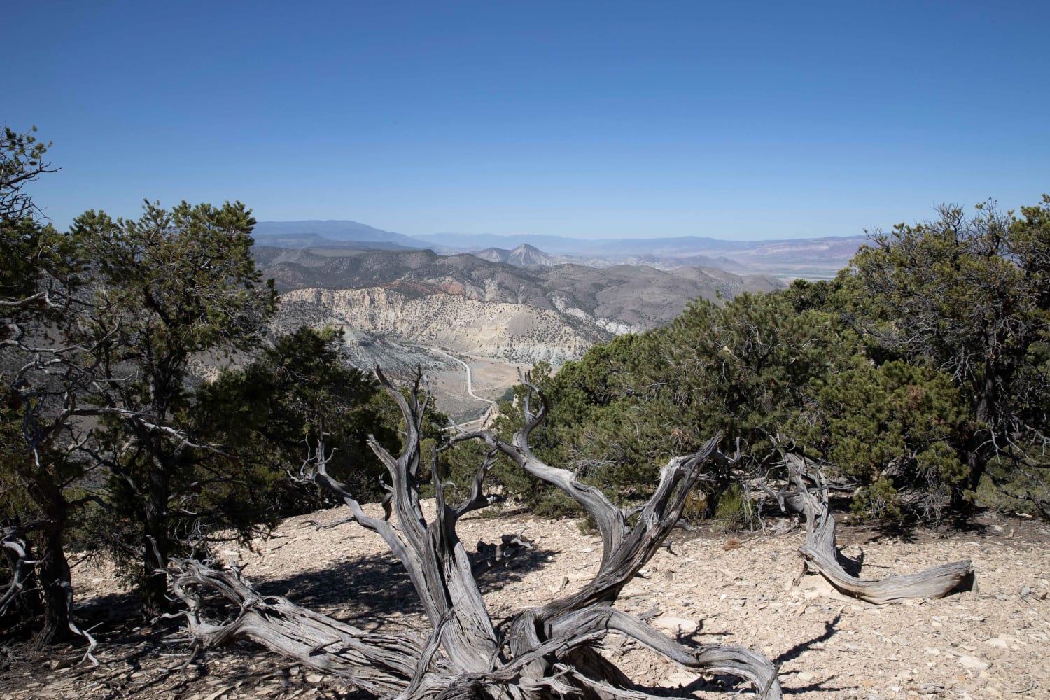 Cedar Mountain East Ridge