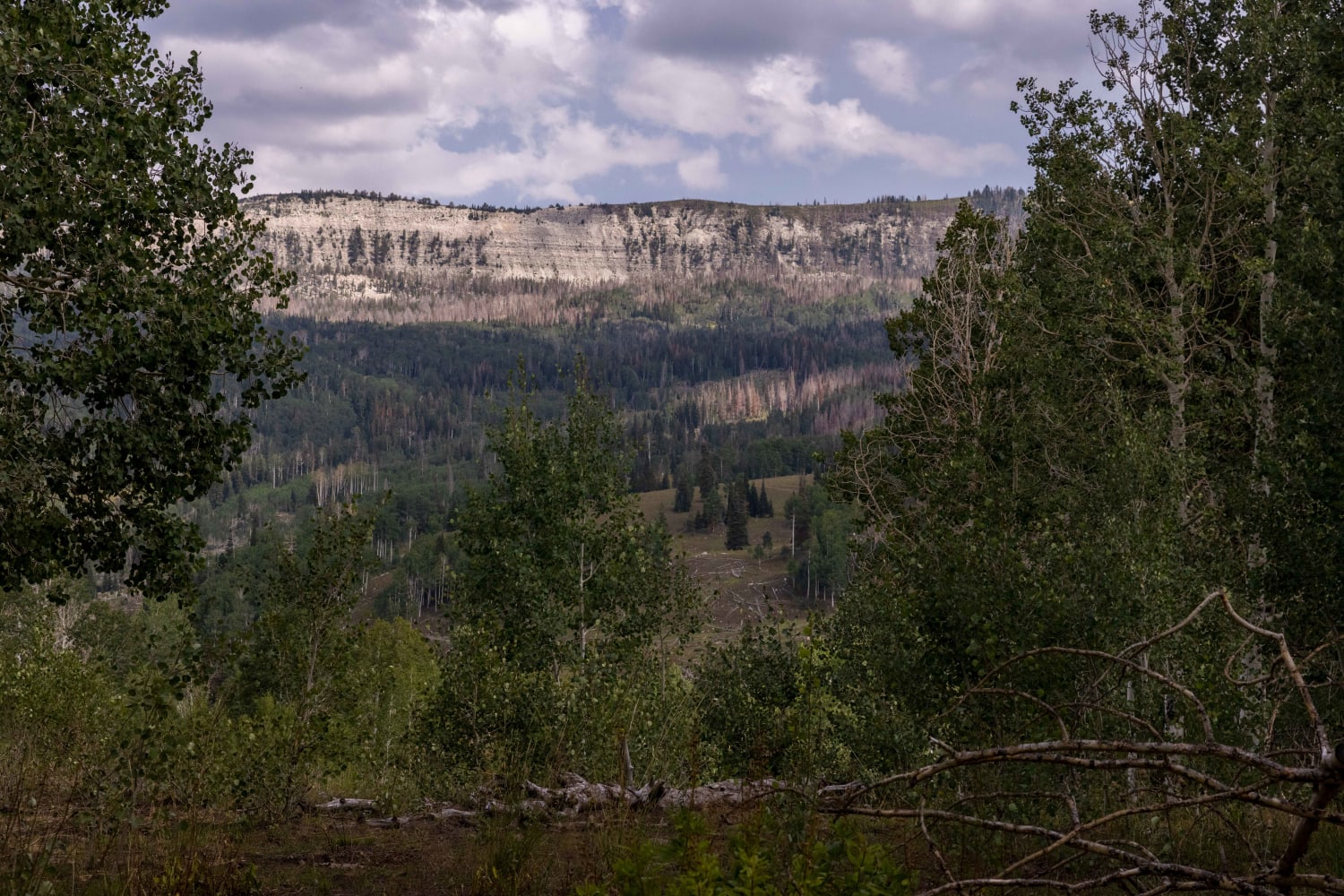 Beaver Creek Ridge Trail